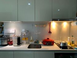 Lakeville (D22), Condominium #566248731